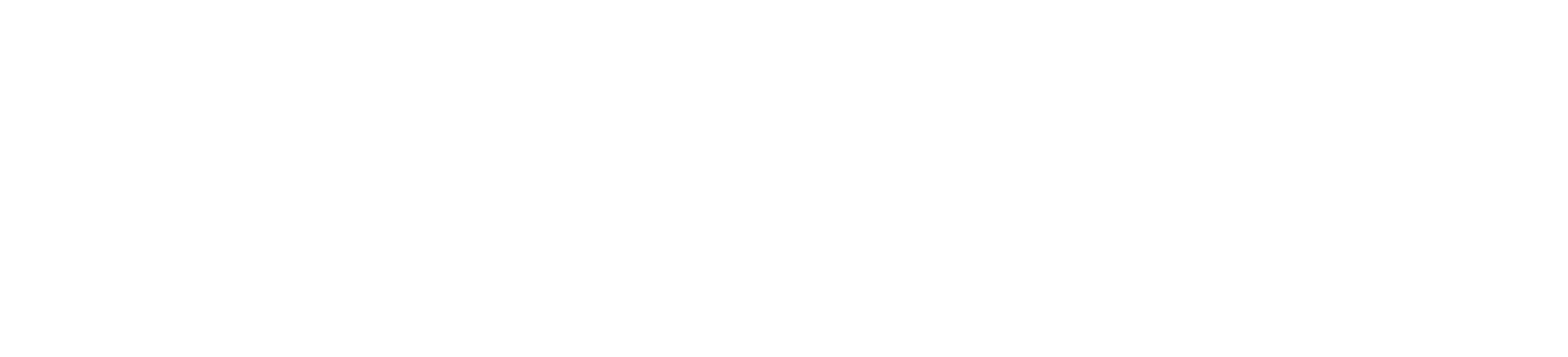 Esports Nations Cup Logo